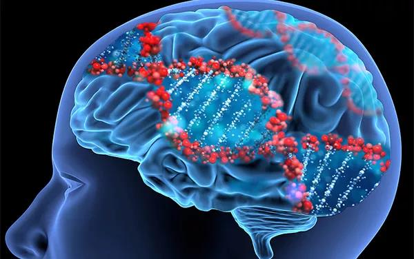 Science：基因也有“生物鐘”，至少影響150種疾病 中國科學網(wǎng)www.minimouse.com.cn